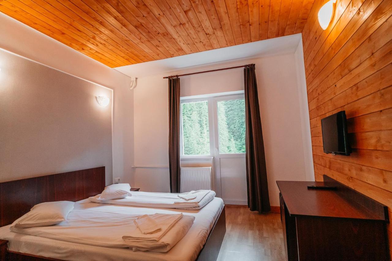Bed and Breakfast Balea Cascada à Cîrţişoara Extérieur photo