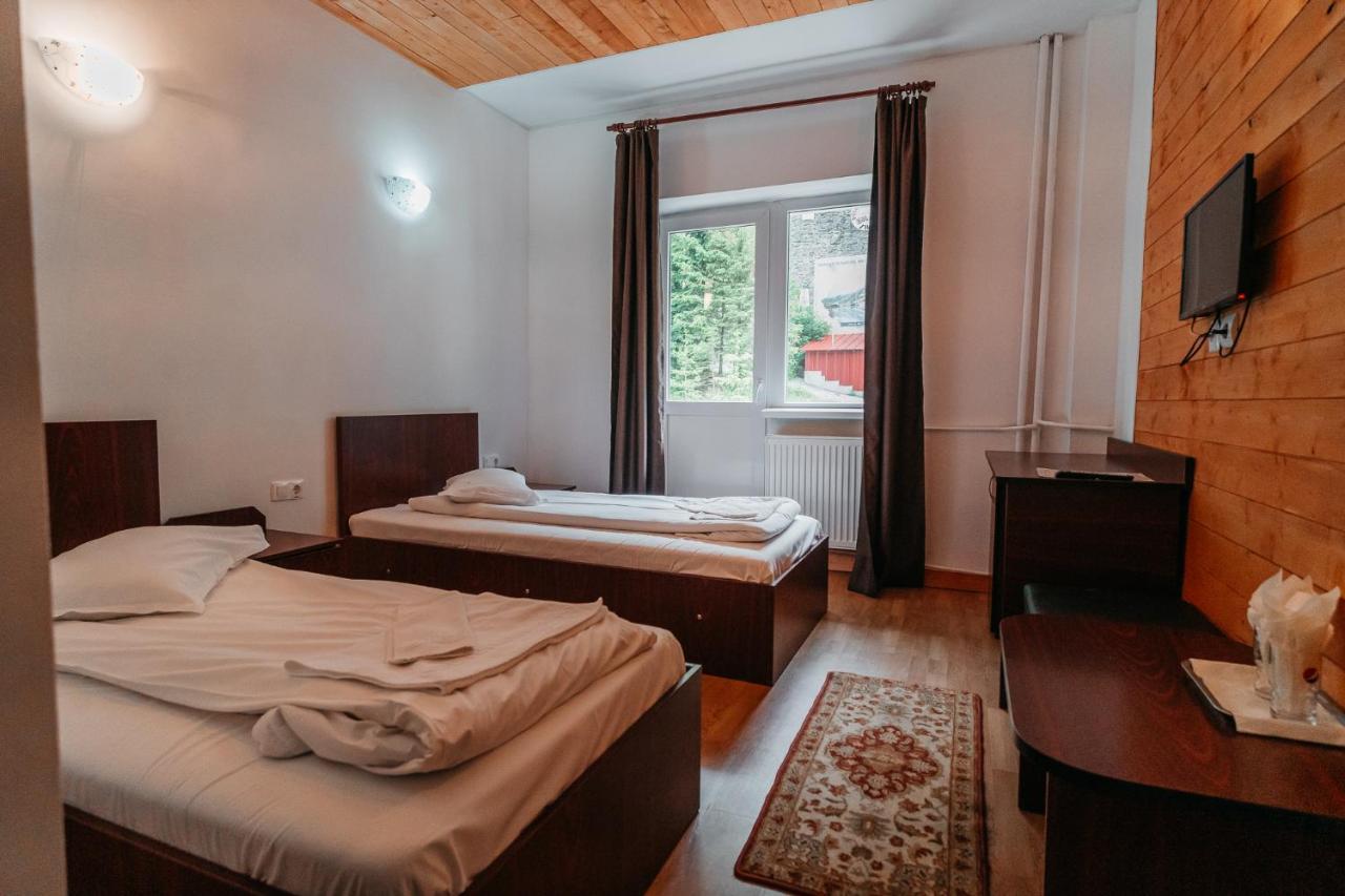 Bed and Breakfast Balea Cascada à Cîrţişoara Extérieur photo
