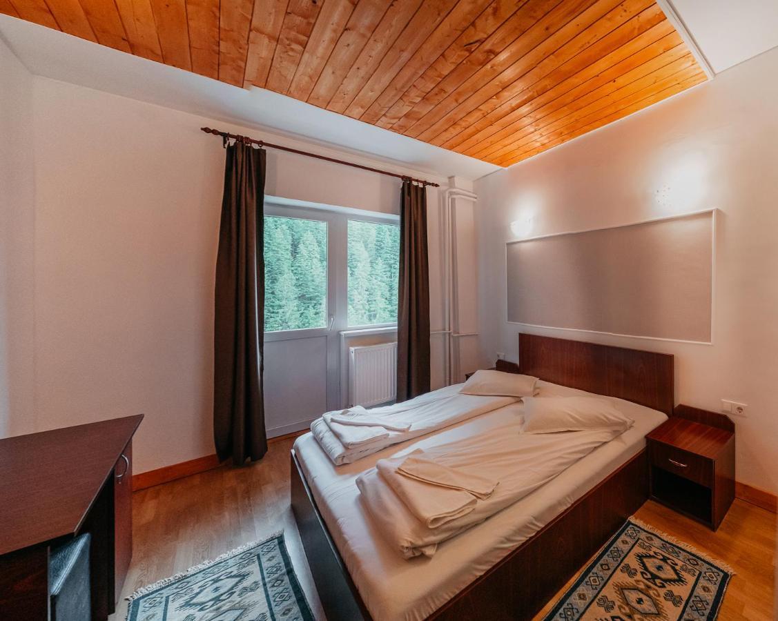 Bed and Breakfast Balea Cascada à Cîrţişoara Extérieur photo
