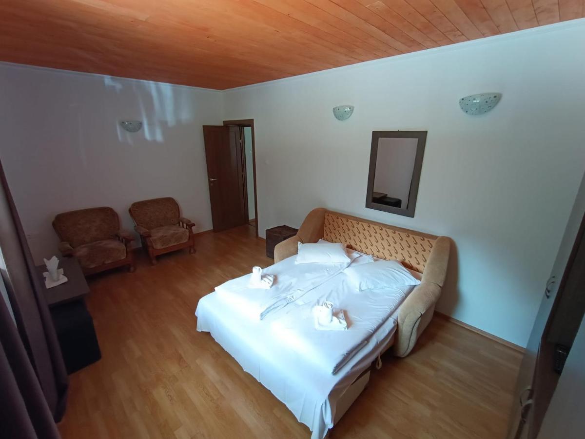Bed and Breakfast Balea Cascada à Cîrţişoara Extérieur photo
